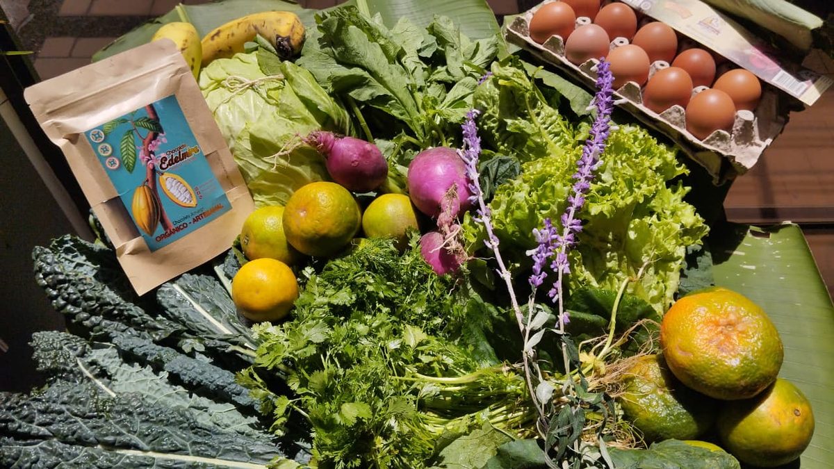 Una caja de Kundina con kale, lechuga, cilantro, remolachas, mandarinas y huevos