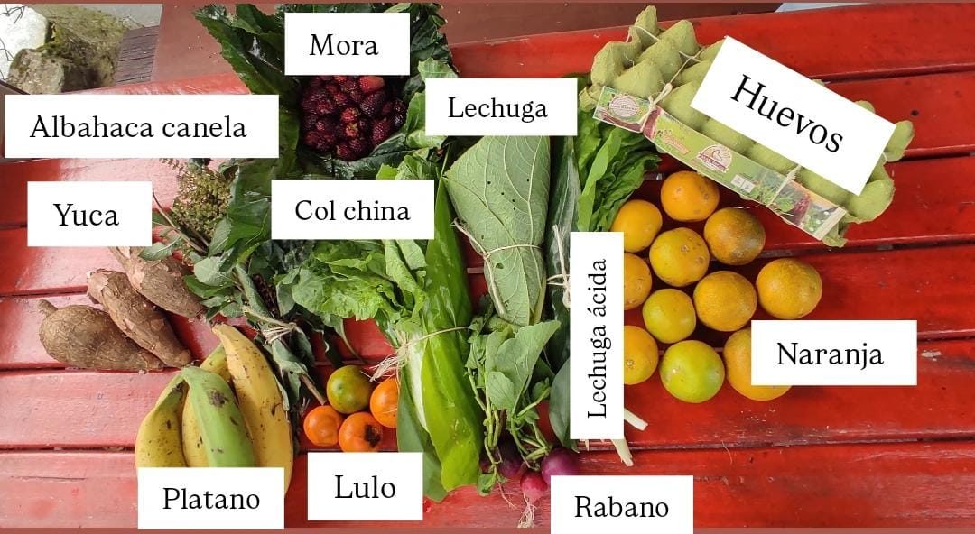 Caja con yuca, mora, lulo, col china, naranjas y huevos