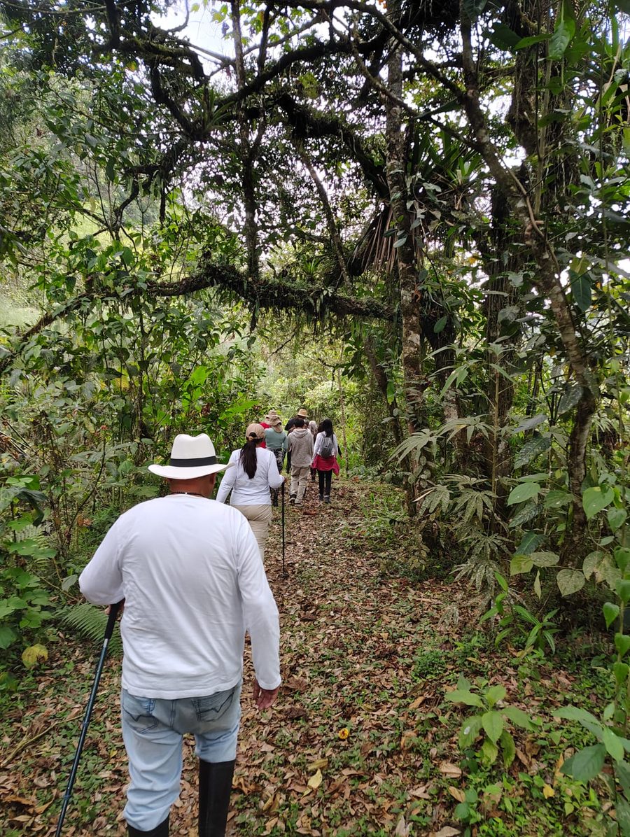 Grupo caminando por un sendero entre árboles en la finca